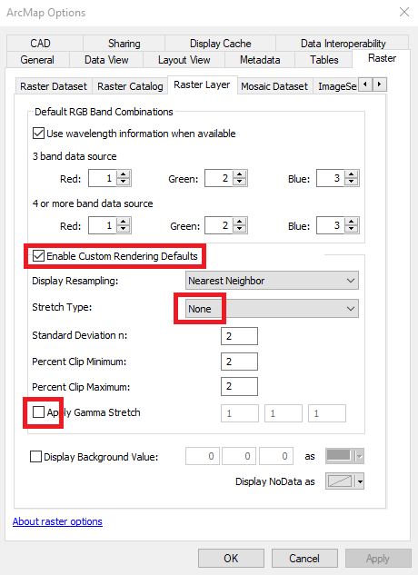 ArcGIS Raster Options